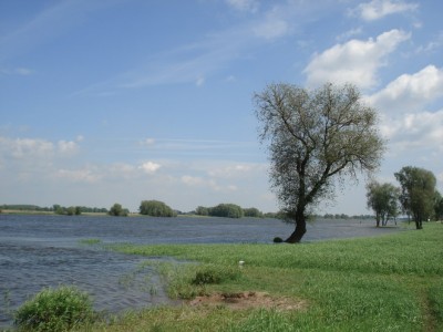 An der Elbe...