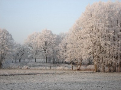 Die Wiese hinterm Haus...