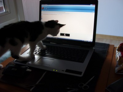 Der Laptop ist gaaanz interessant