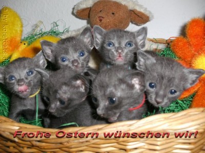 Frohe Ostern 1.jpg