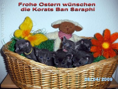 Frohe Ostern 2.jpg