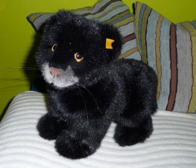 Kleiner Panther